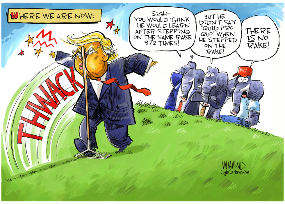  TRUMP VS THE RAKE by Dave Whamond