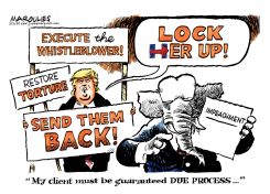 TRUMP WANTS DUE PROCESS IN IMPEACHMENT by Jimmy Margulies