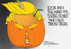TRUMP PUMPKIN KURD POLICY by Jeff Darcy