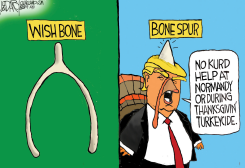 TRUMP TURKEY PECKS KURDS by Jeff Darcy