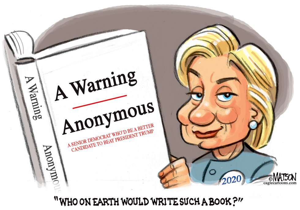  ANONYMOUS BOOK BY A SENIOR DEMOCRAT by RJ Matson