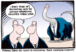 FED TORIES CAMPAIGN LIABILITY by Ingrid Rice