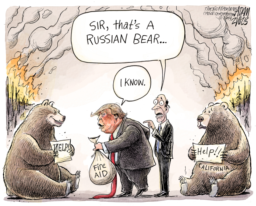 Wildfires