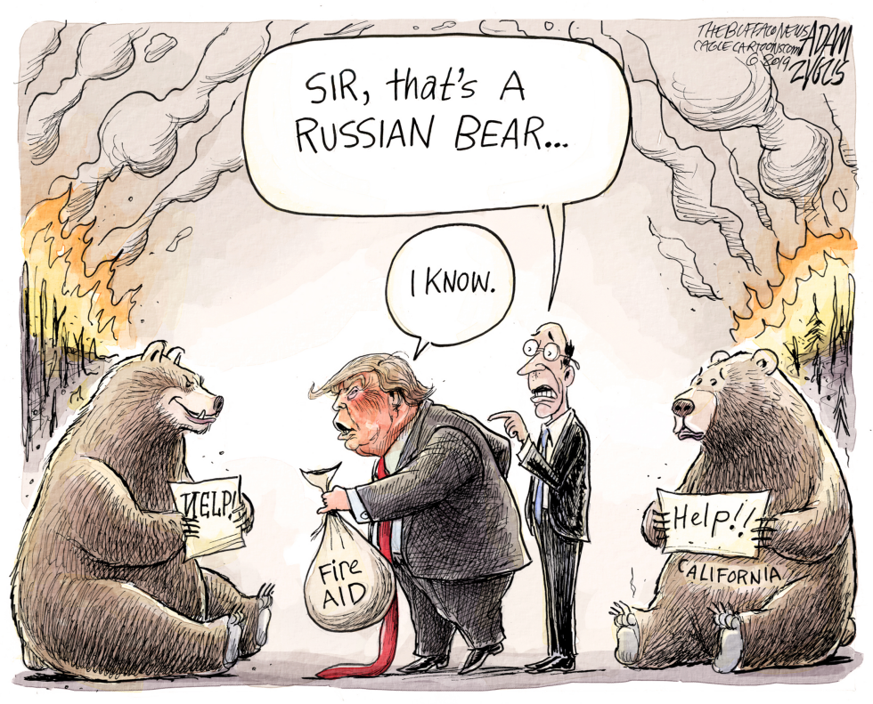 Wildfires