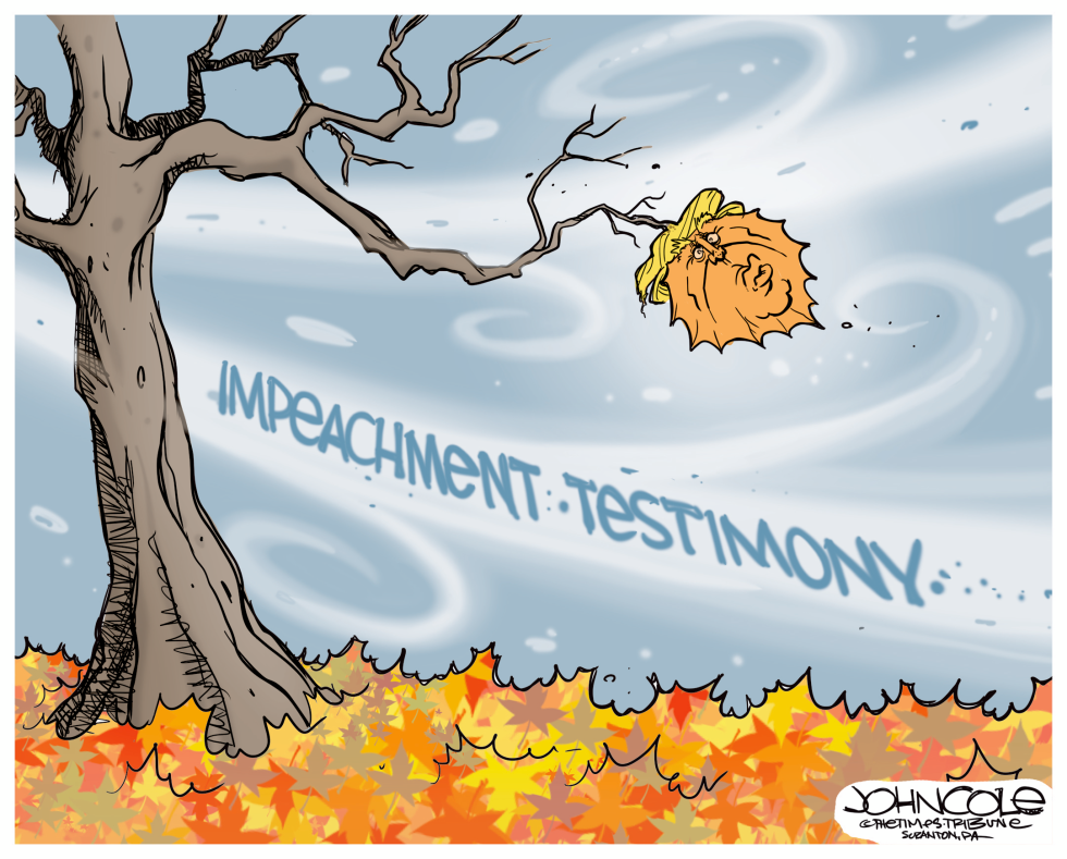  IMPEACHMENT WINDS BLOW by John Cole