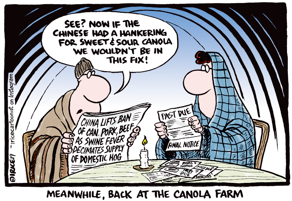 Back At the Canola Farm