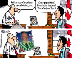 DON CHERRY by Steve Nease