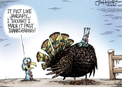 COLD TURKEY by Joe Heller