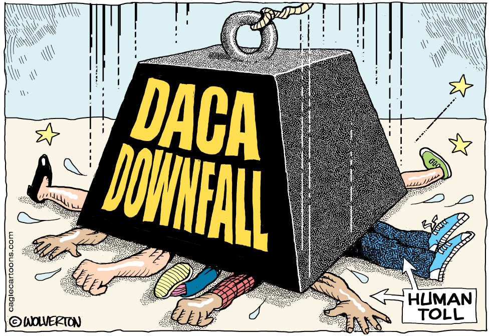  DACA DOWNFALL by Wolverton