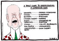 UNDERSTANDING A CANADIAN IDOL by Ingrid Rice