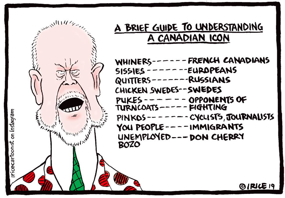 Understanding A Canadian Idol