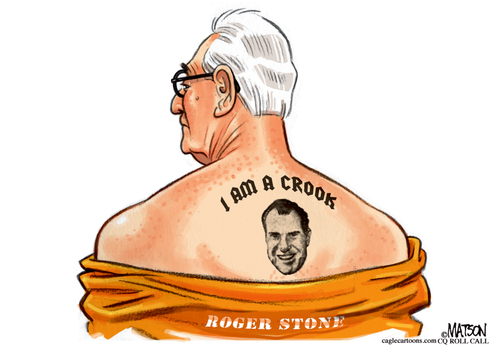  ROGER STONE GUILTY by RJ Matson