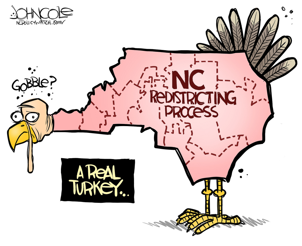 LOCAL NC Redistricting turkey