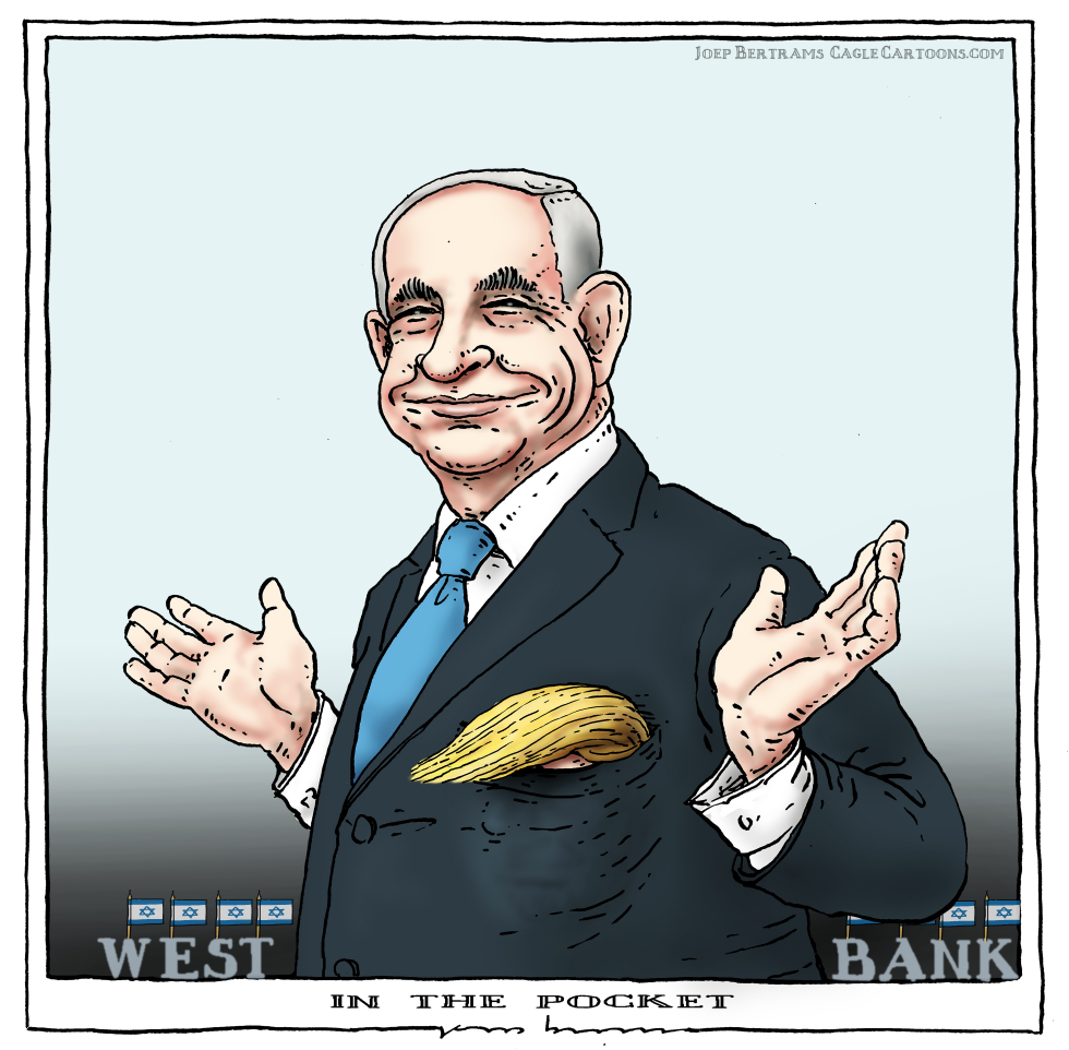 in the pocket