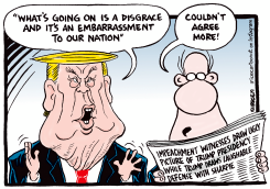 TRUMP IMPEACHMENT HEARING by Ingrid Rice