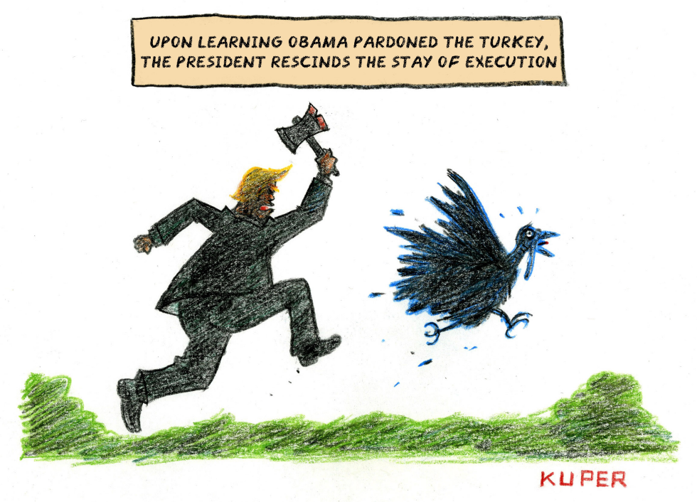 Thanksgiving Turkey