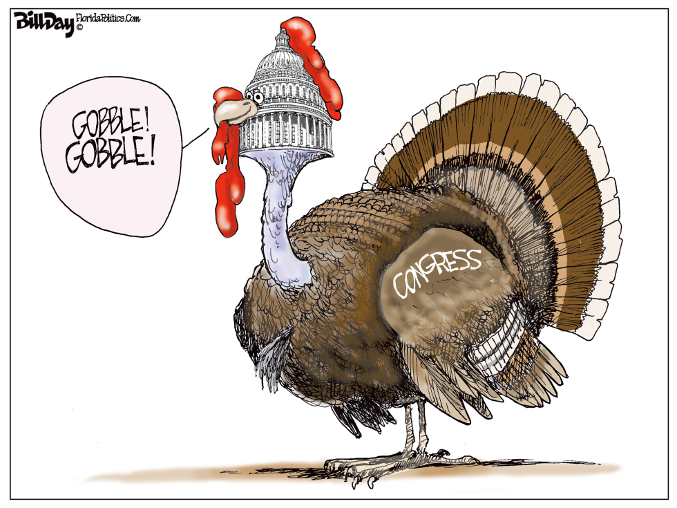 Turkey Congress