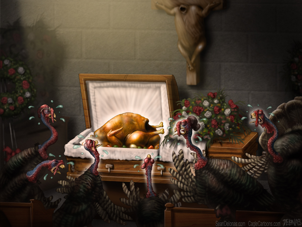 Turkey Thanksgiving