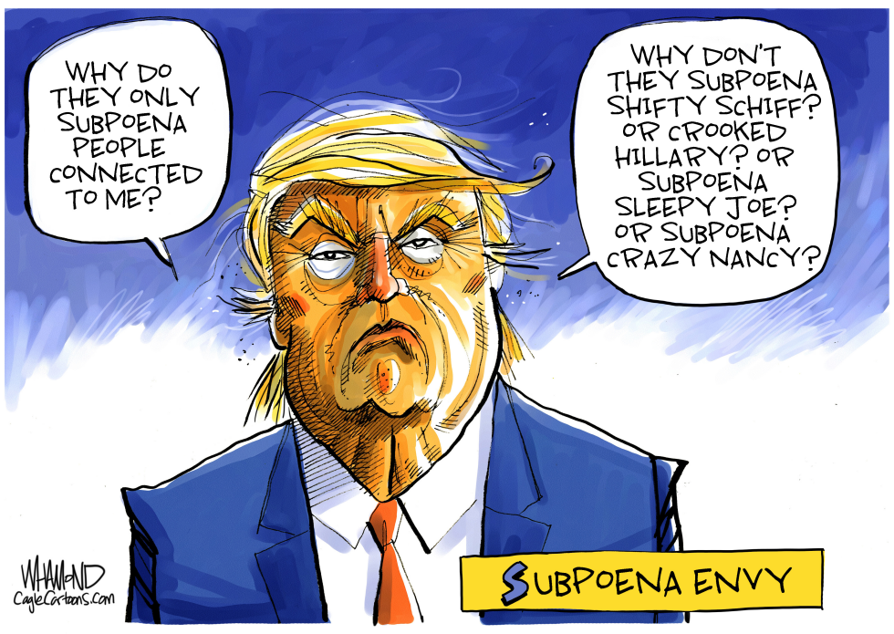  TRUMP SUBPOENA ENVY by Dave Whamond