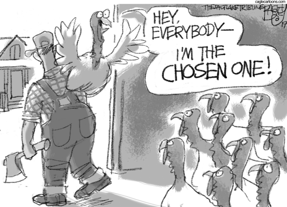 chosen
