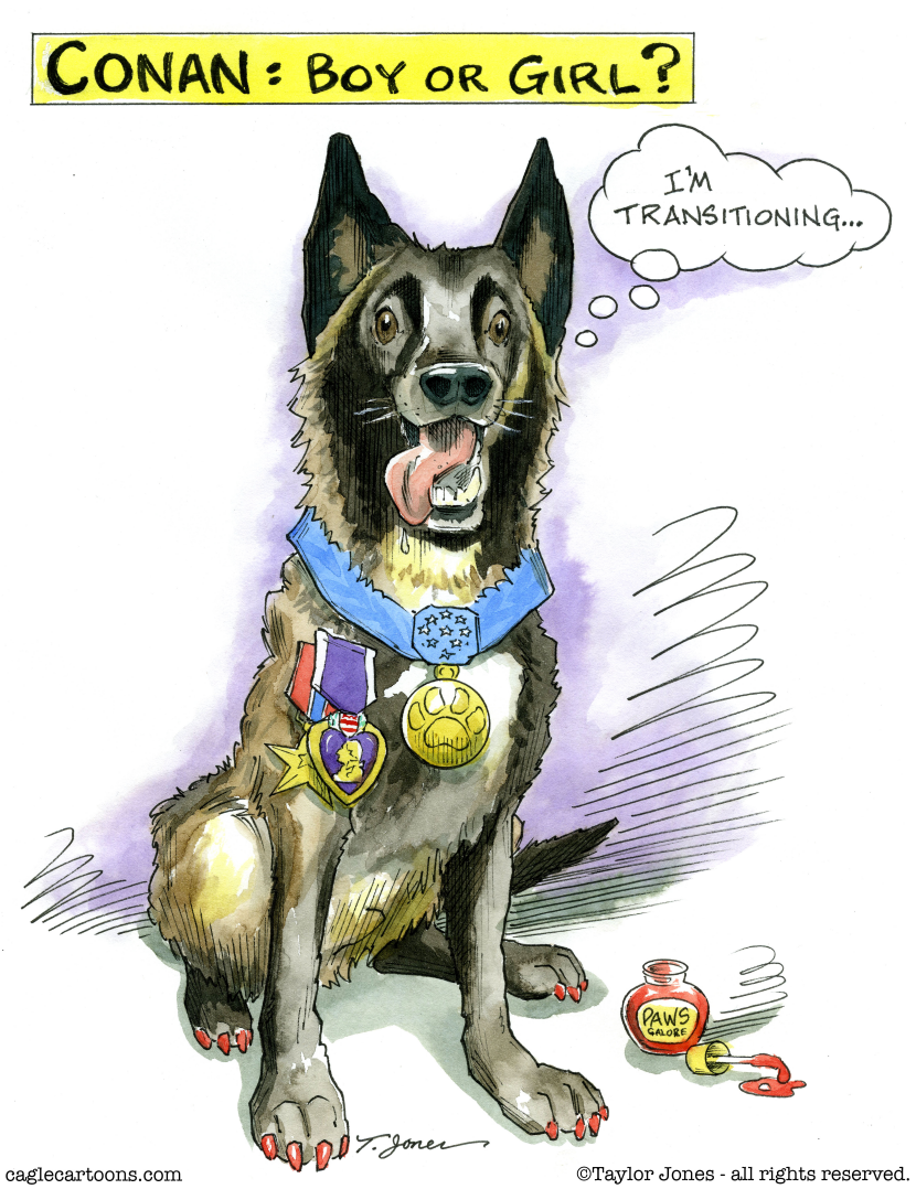 Conan the Dog