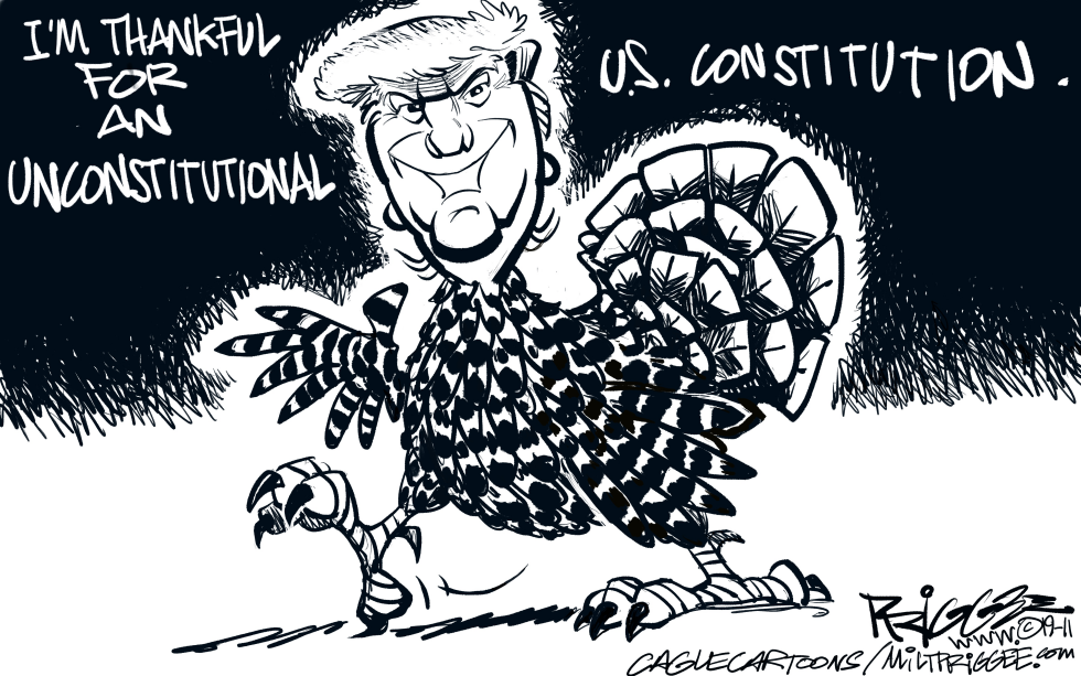 Constitution