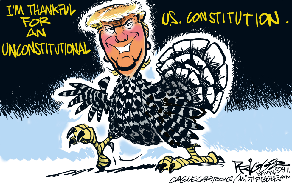 Consititution