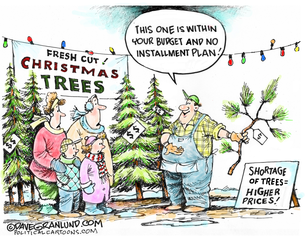 Christmas tree shortage