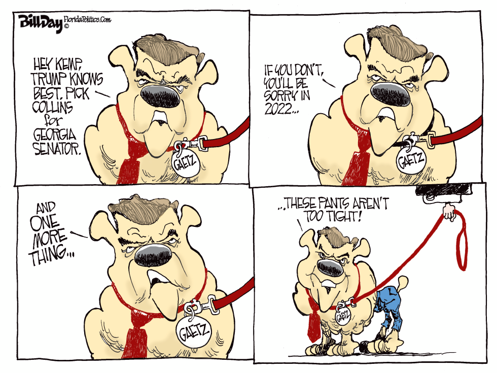 Matt Gaetz FLORIDA