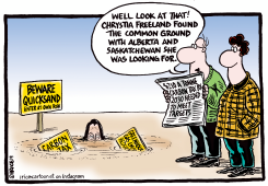 CARBON TAX QUICKSAND by Ingrid Rice