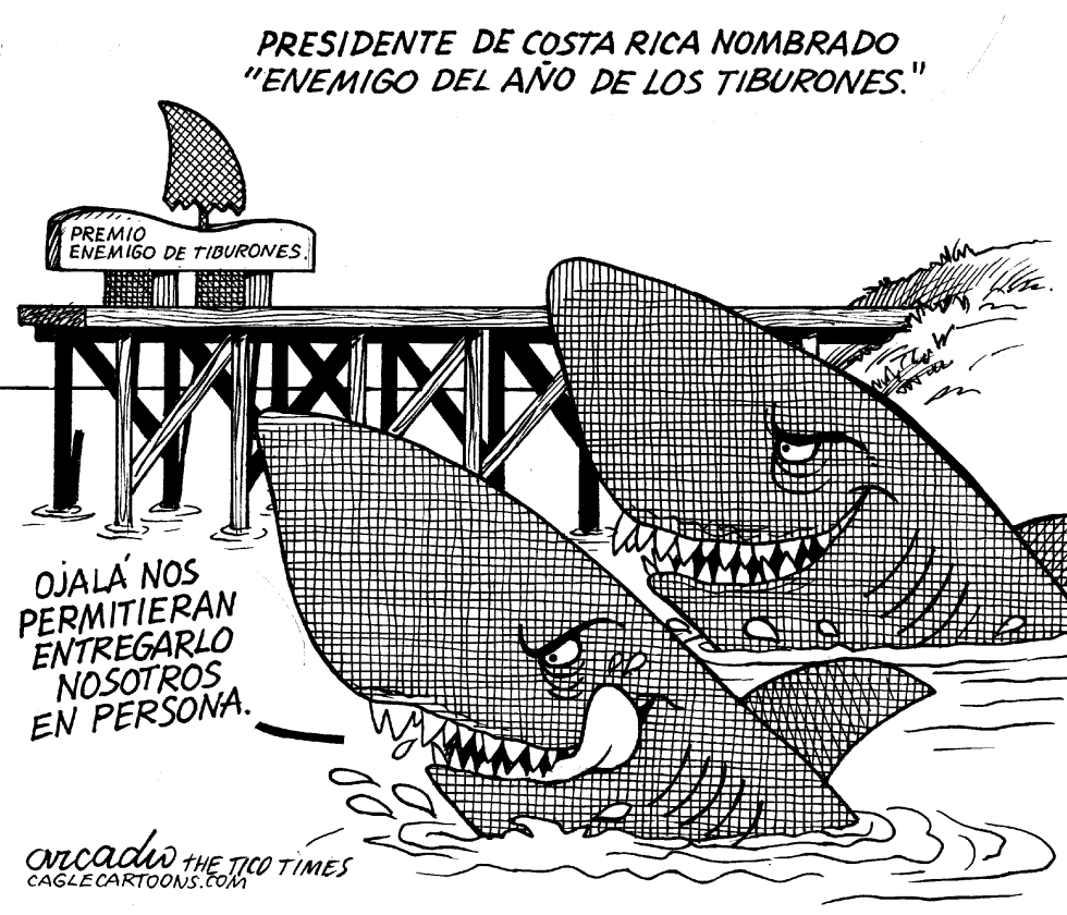 Premios tiburoniles