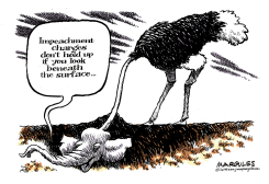 IMPEACHMENT REPORT by Jimmy Margulies