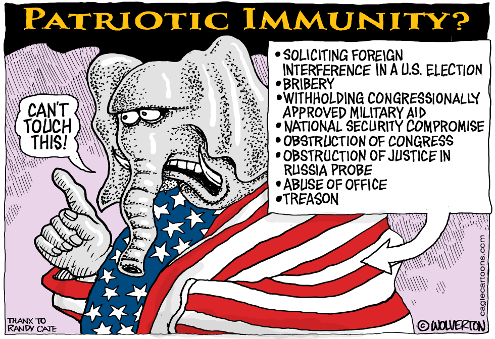  GOP PATRIOTIC IMMUNITY by Monte Wolverton