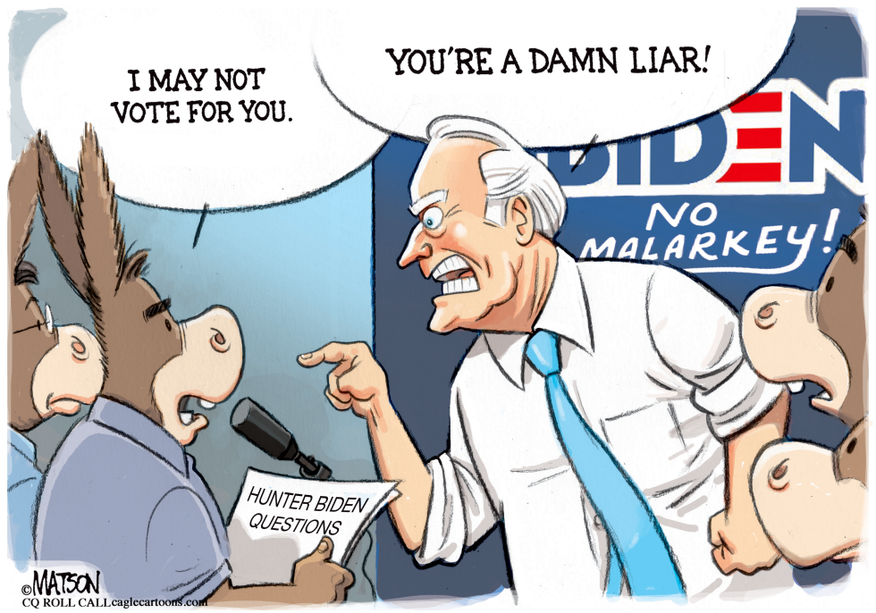  FIGHTING JOE BIDEN by R.J. Matson