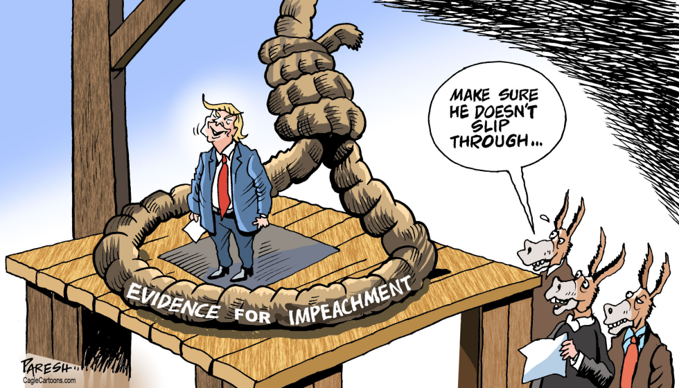  IMPEACHING TRUMP by Paresh Nath