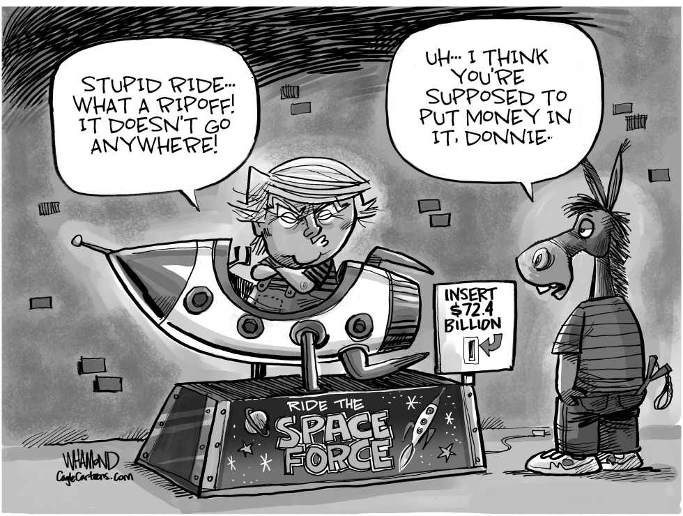  SPACE FORCE DEAL by Dave Whamond