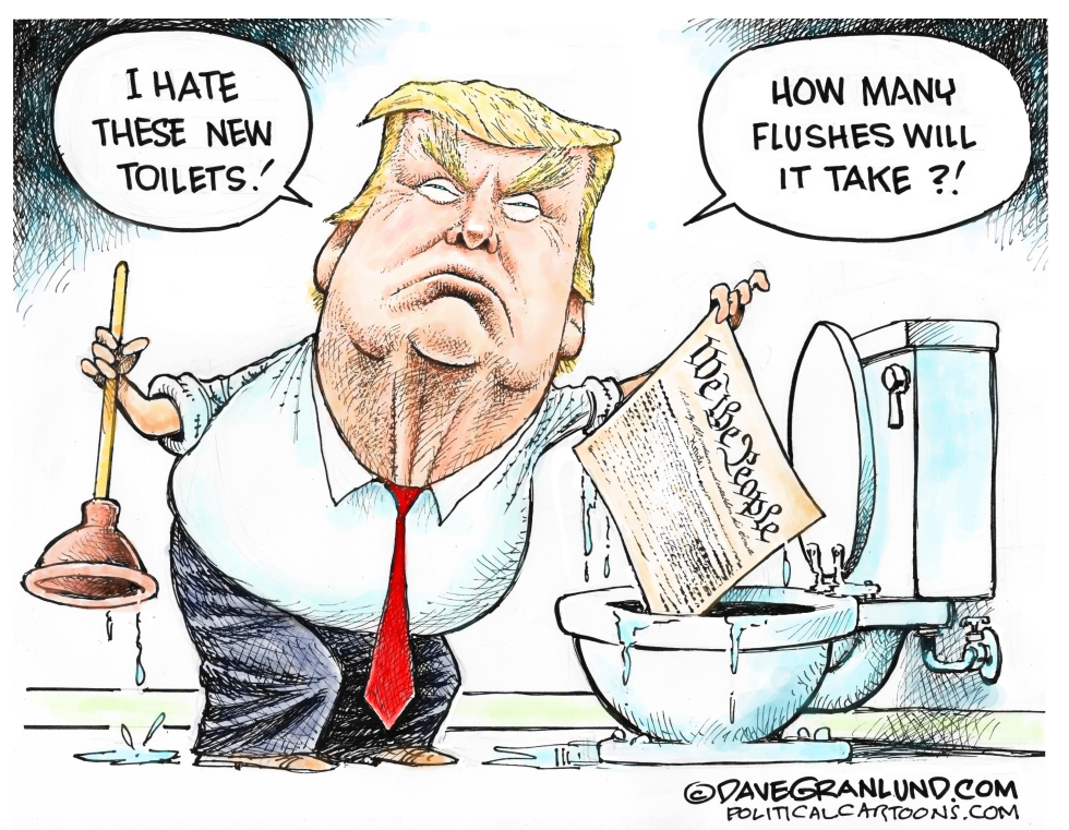  TRUMP CRITIQUE ON TOILET FLUSHING by Dave Granlund