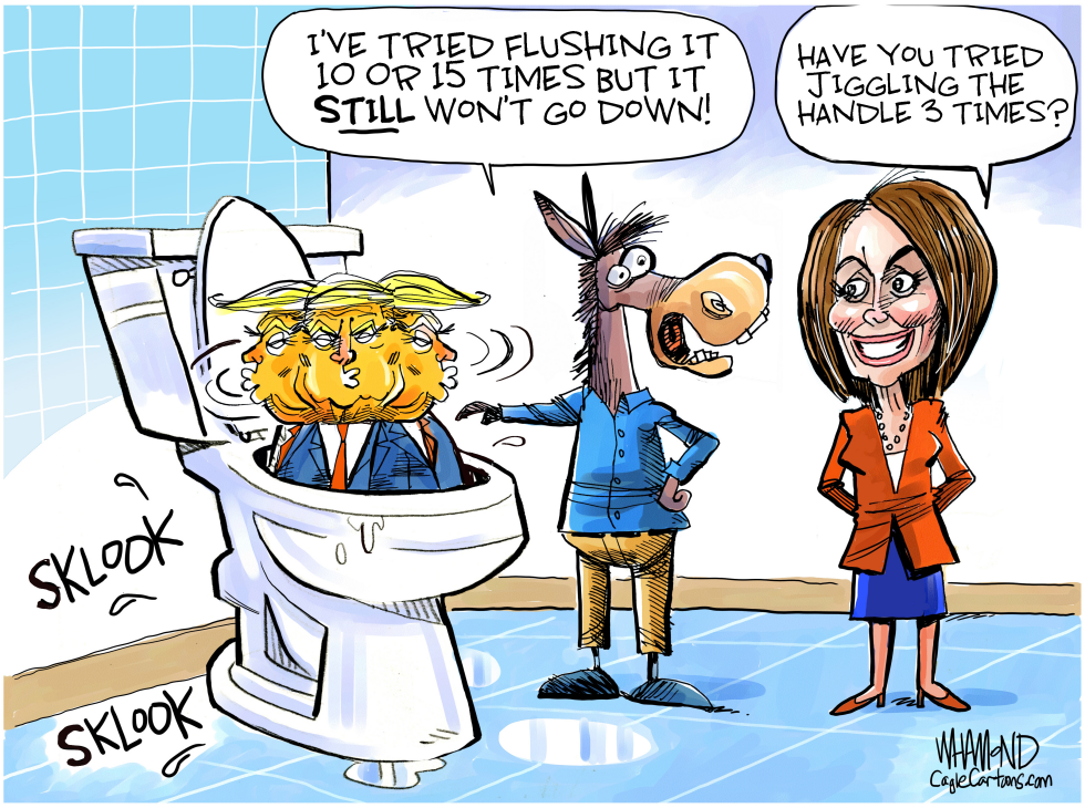 Toilet humor