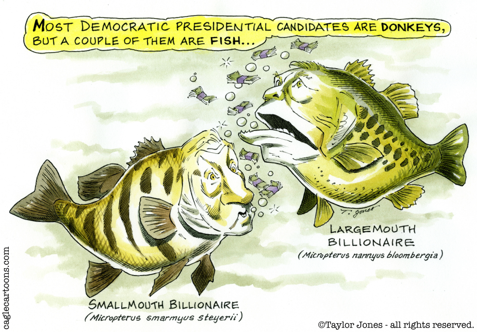  DEMOCRATIC FISH by Taylor Jones