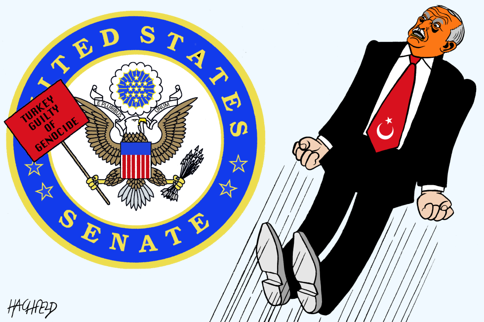 US Senate annoys Erdogan