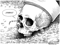 NOTICIAS DESDE LA GUARIDA DE AL QAEDA by R.J. Matson