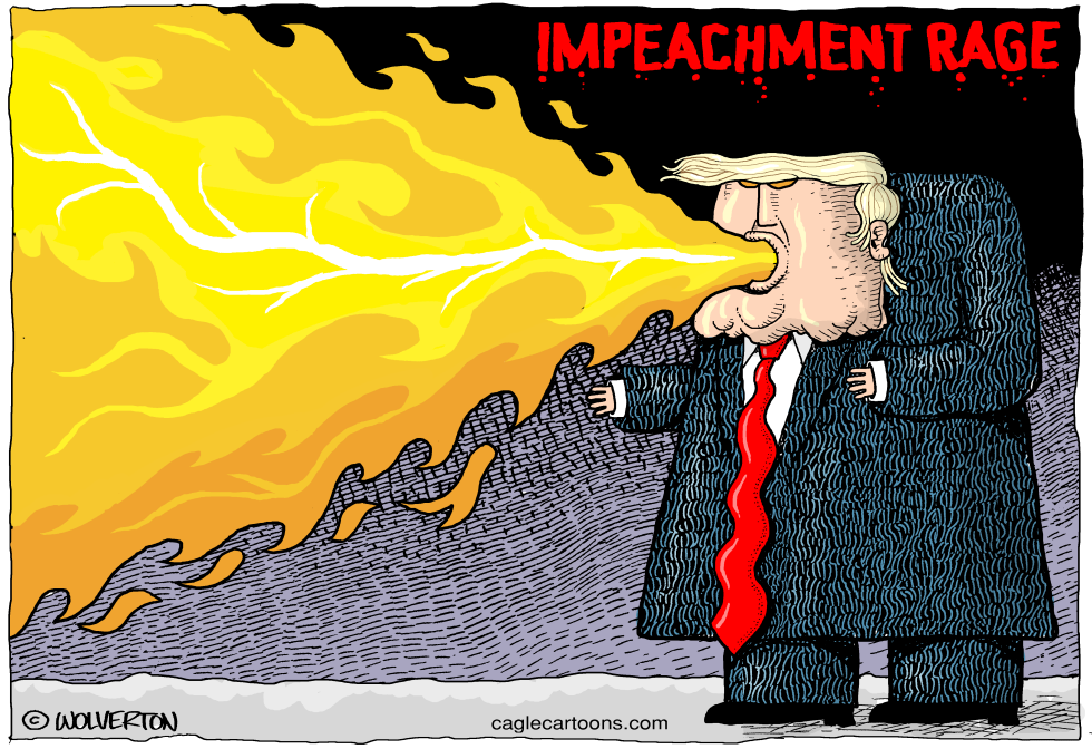  IMPEACHMENT RAGE by Monte Wolverton