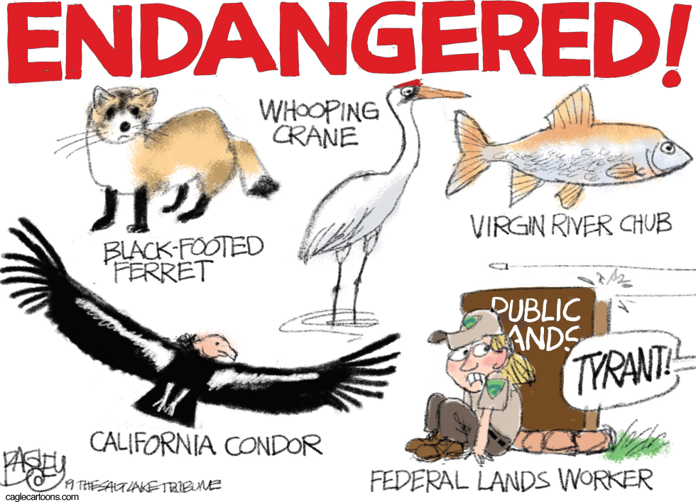  ENDANGERED by Pat Bagley