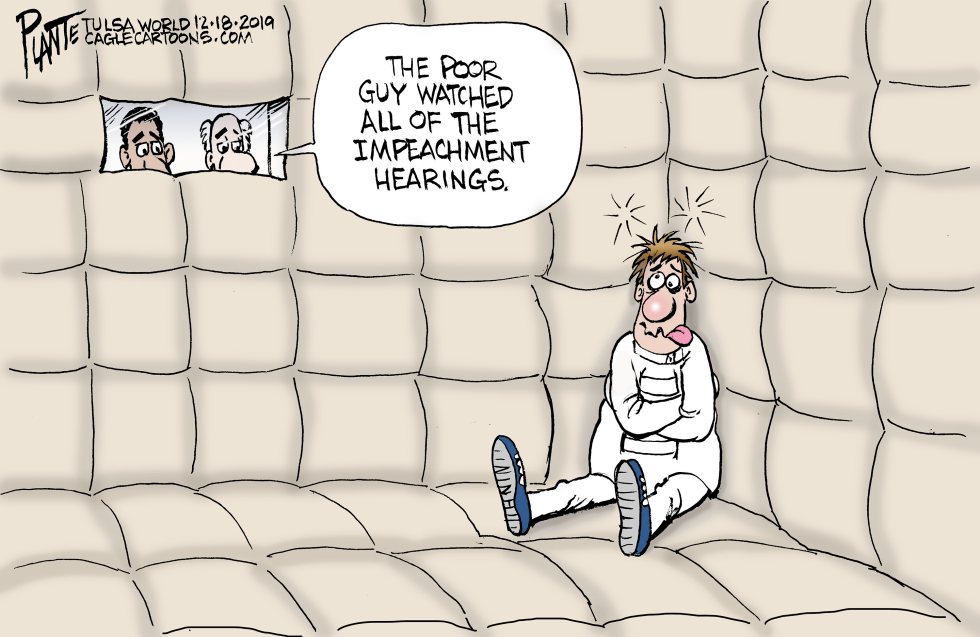 Impeachment Insanity