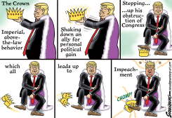IMPEACHMENT by Steve Greenberg