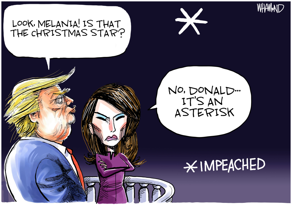  TRUMP CHRISTMAS STAR by Dave Whamond