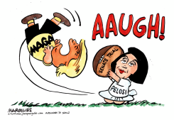 PELOSI AND SENATE TRIAL by Jimmy Margulies