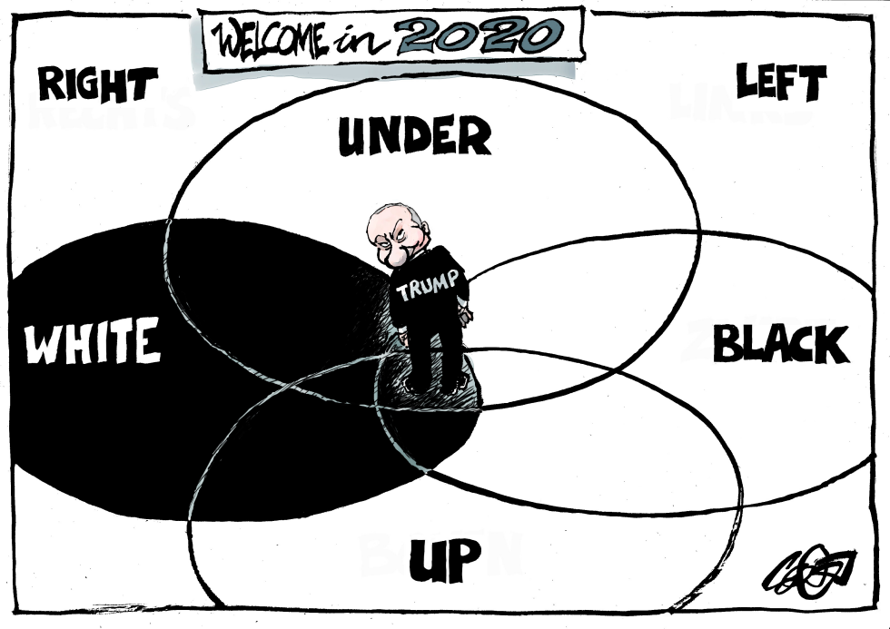  A YEAR OF CONFUSION by Jos Collignon