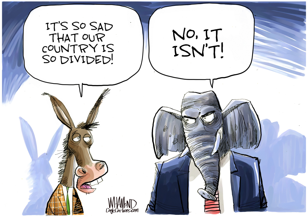 Divided States of America