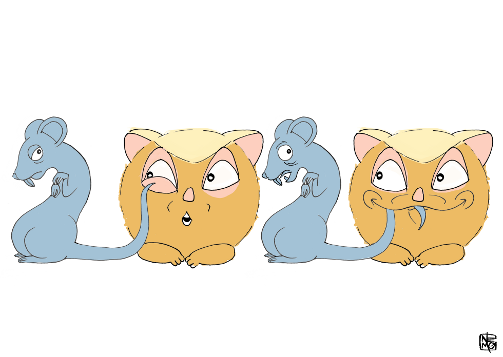 Happy 2020 Demorats and Trump Cat